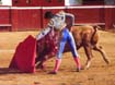 29